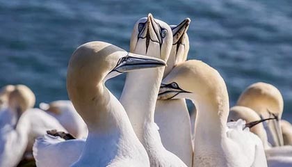 B体育下载-B sports_ 今日焦点：法网决赛将如何影响排名？，法网决赛2020