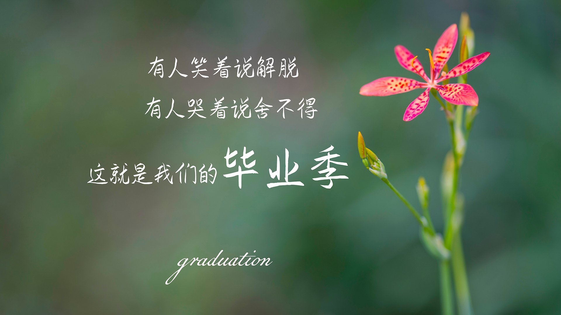 _勇士队团队合作再升级,战斗力提升_,勇士队伍