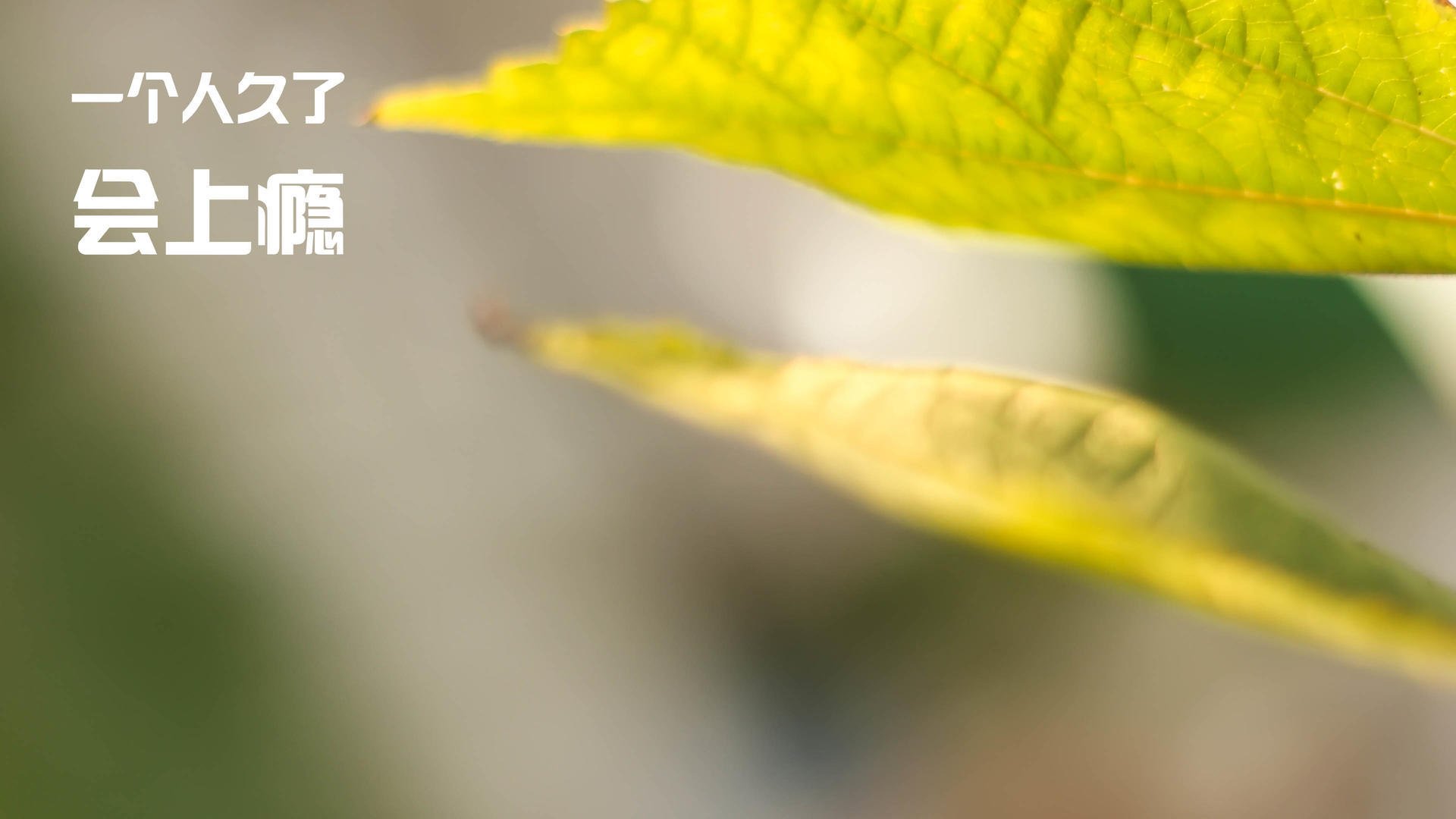 _直播互动:粉丝参与度提升的新方式_,如何提高粉丝活跃度和参与度