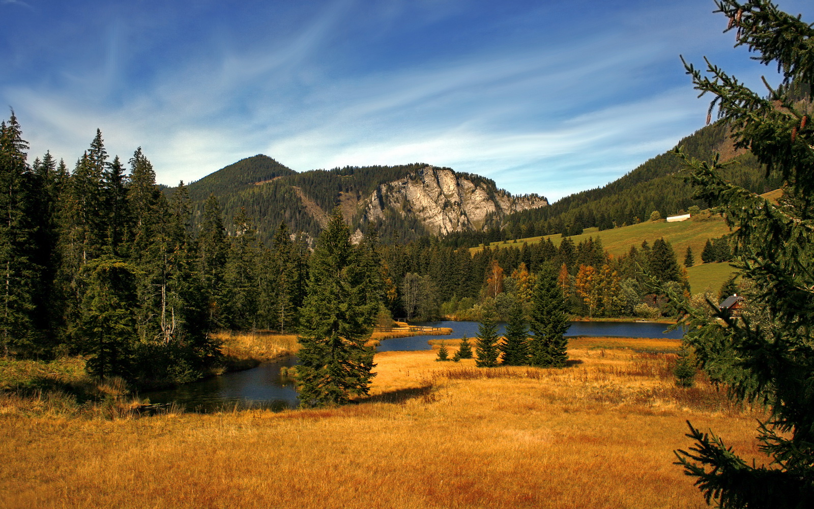 _瞭望者锦标赛：风景与运动的完美融合_，万国觉醒金武将