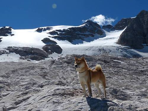 B体育亚洲官方网站-_篮网保持联盟第一，状态火热_，篮网稳了