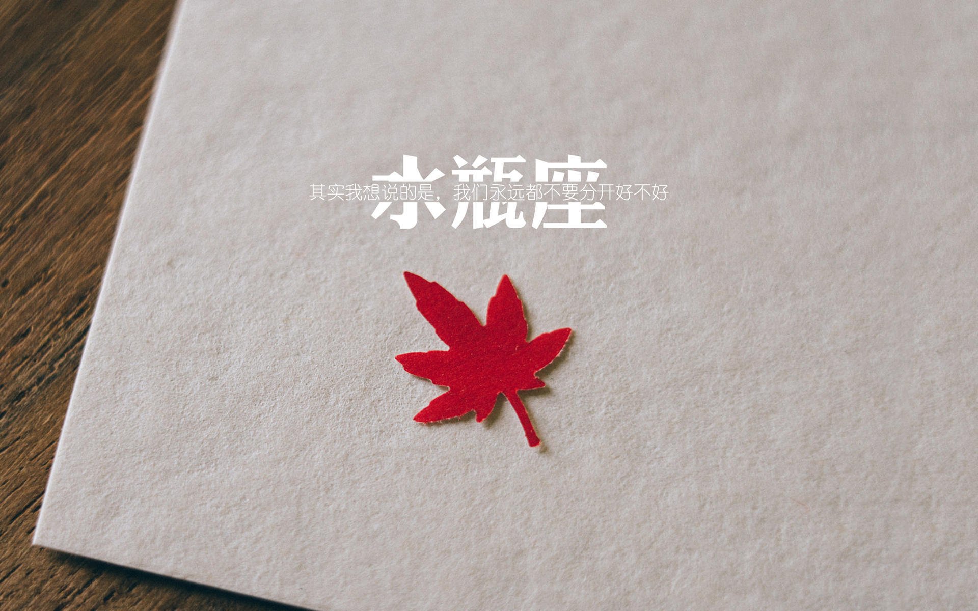 “夜间追击:黑夜中的速度与激情”,黑夜追捕者