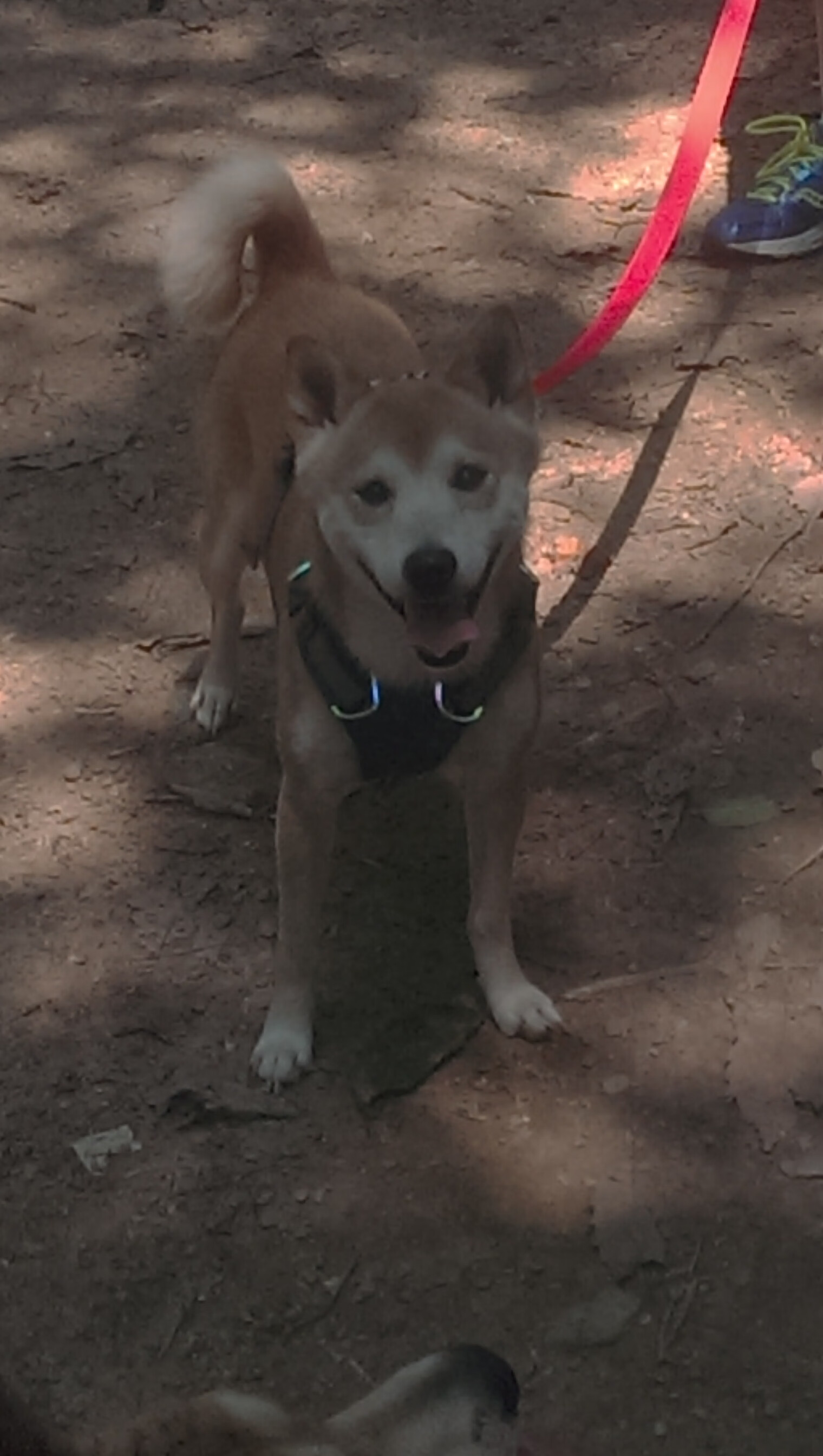 《电竞公益:用游戏传递爱心与温暖》,电竞公益活动