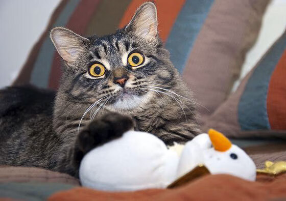 【青训成长】年轻运动员模仿丁俊晖经典训练动作，长得像丁俊晖