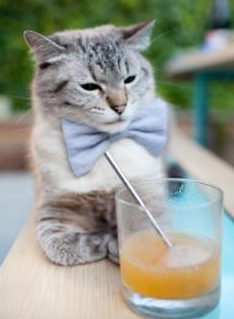 局中局:比赛中的战术布置和心理战,局中棋是什么意思