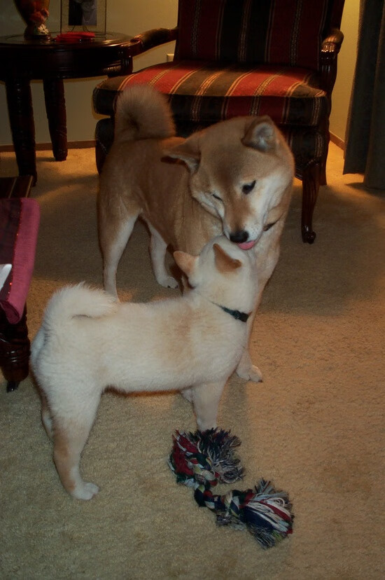 B体育中国内陆官方网站-球场“终极对决”回顾：经典之战永不退色，终极对决 足球