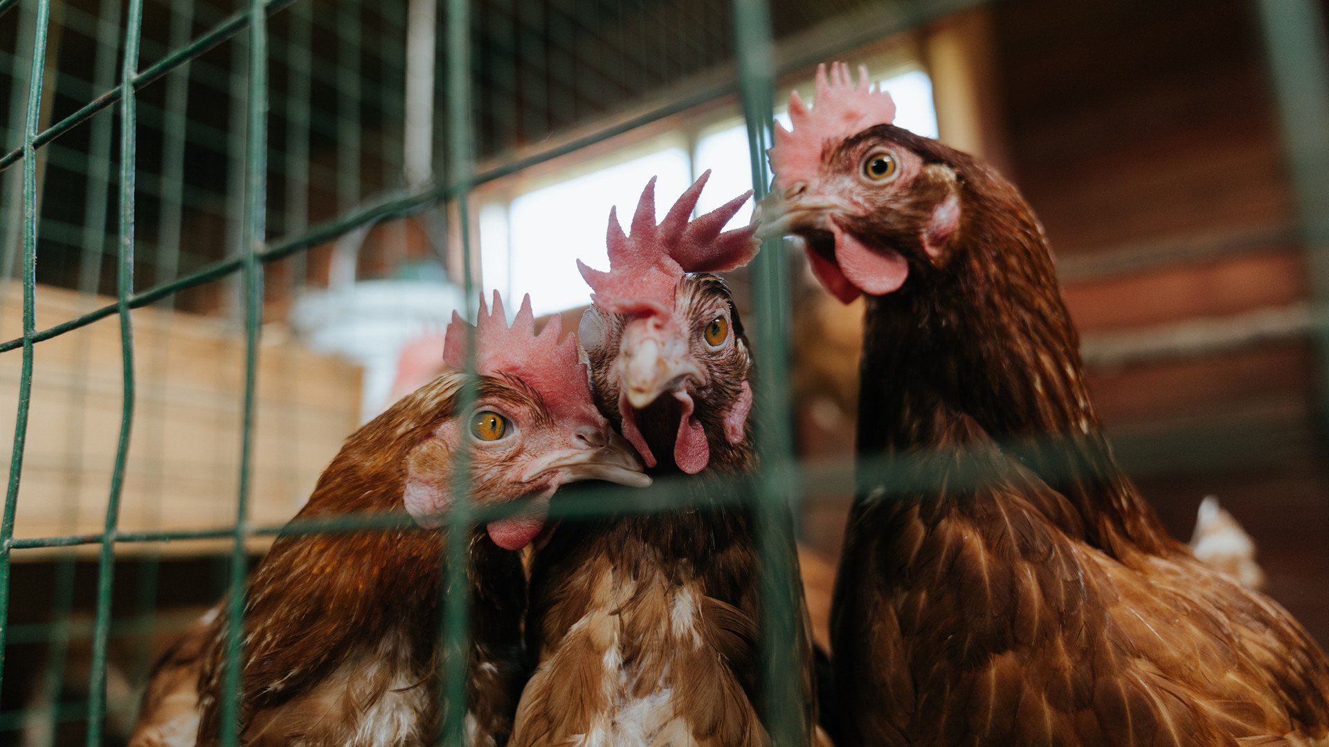 篮球场馆节能智能照明系统推广,篮球场馆节能智能照明系统推广方案