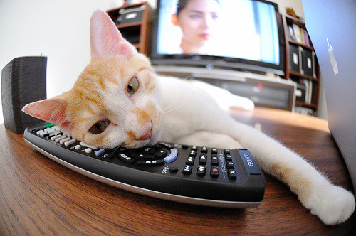 篮球场馆设备智能维护系统投入使用,智能篮球场管理系统