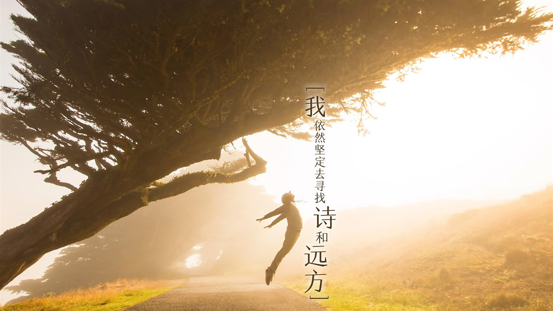 英格兰球迷街头狂欢庆祝奖牌,英格兰获胜球迷狂欢