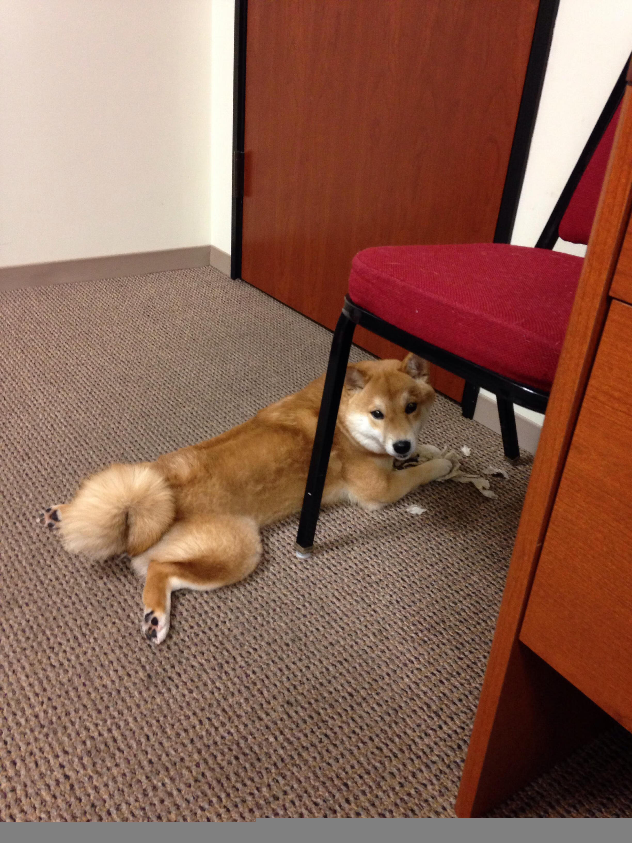 迈阿密热火“铁血防守”让对手望而却步,季后赛值得期待,迈阿密热火数据