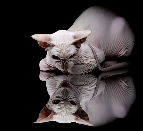 B体育亚洲官方网站-拜仁慕尼黑门将获得德国最佳守门员称号，实力无可质疑，德甲拜仁慕尼黑队主帅