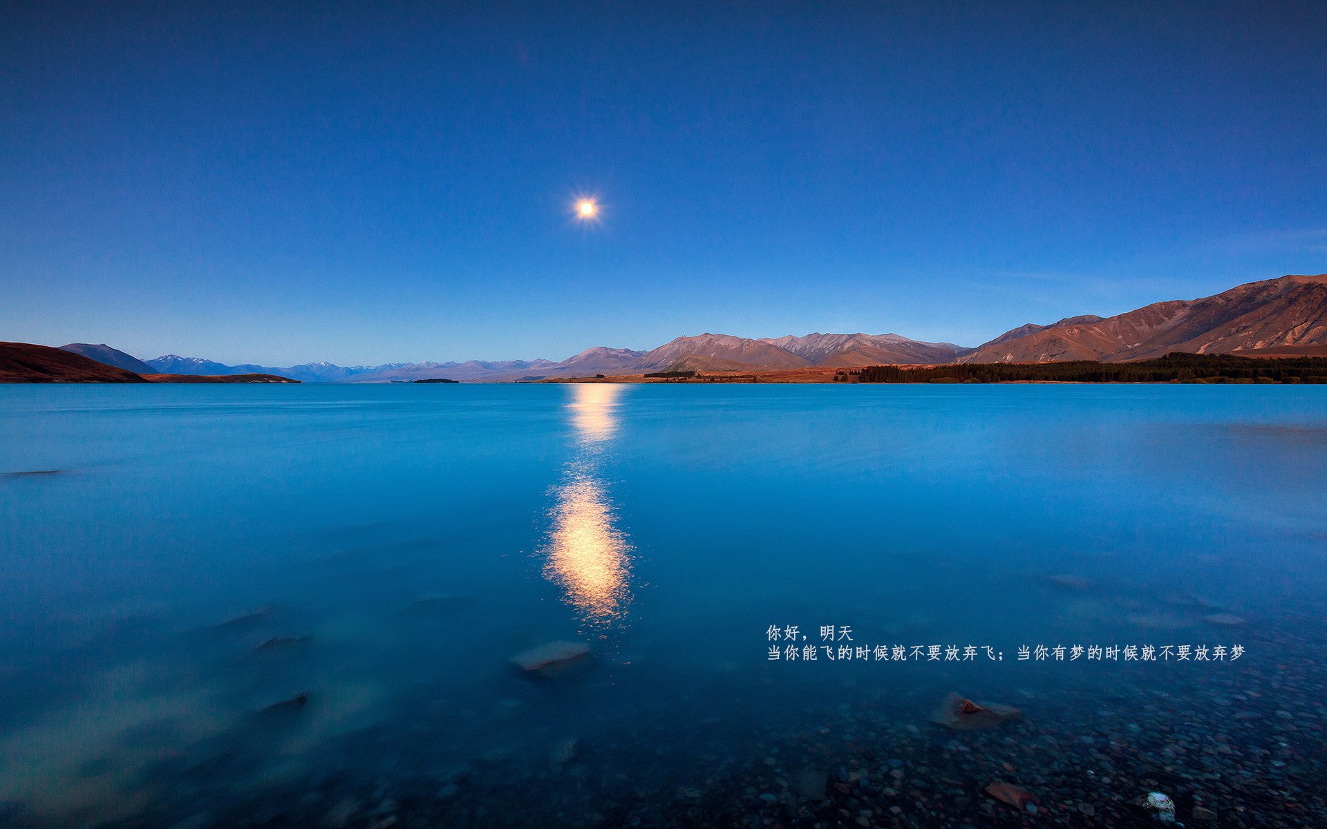 拜仁慕尼黑门将获得德国最佳守门员称号,实力无可质疑,拜仁慕尼黑历届守门员