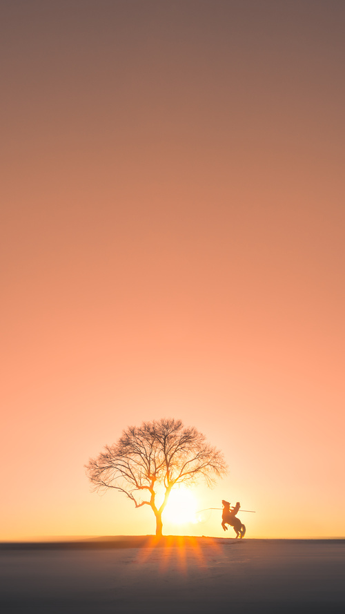 b体育直播-王者荣耀职业联赛引入运动表现智能评估