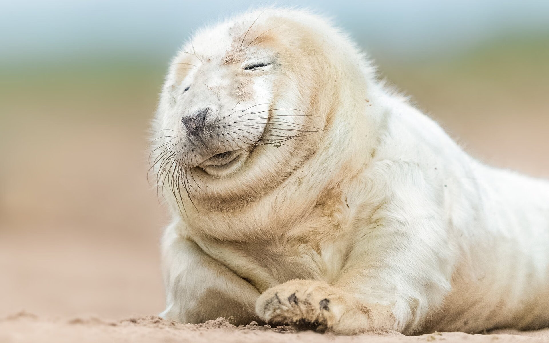 b体育app-王者荣耀赛事加强裁判行为监管，王者荣耀裁判位在哪