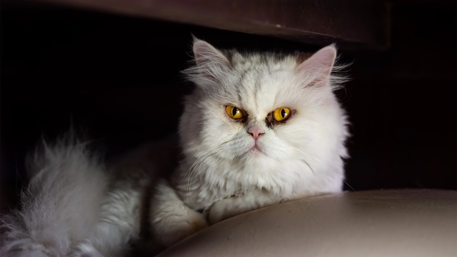 B体育(CHINA)官方网站-阿根廷对阵智利激战，复仇赛意味浓厚，阿根廷vs智利首发阵容