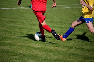 b体育电竞-世界马拉松大满贯赛事上海站开跑，世界马拉松大满贯赛事上海站开跑时间