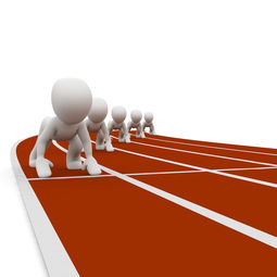 B体育下载-中小学体育教师职业成长路径研究，中小学体育教师现状