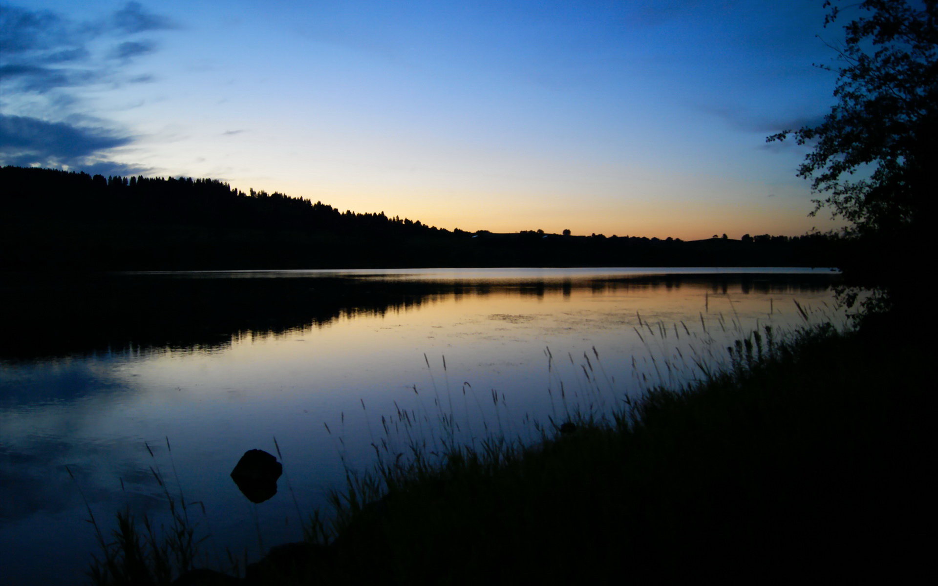 德甲“50+1”会员制与私募资本共赢路径深度解析