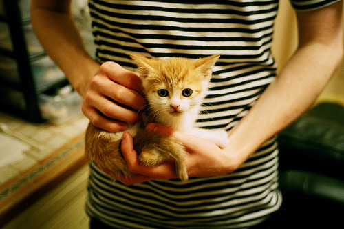 B 体育官网-国际热身赛中国女足迎战 球迷情绪再次高涨，国足热身赛2021