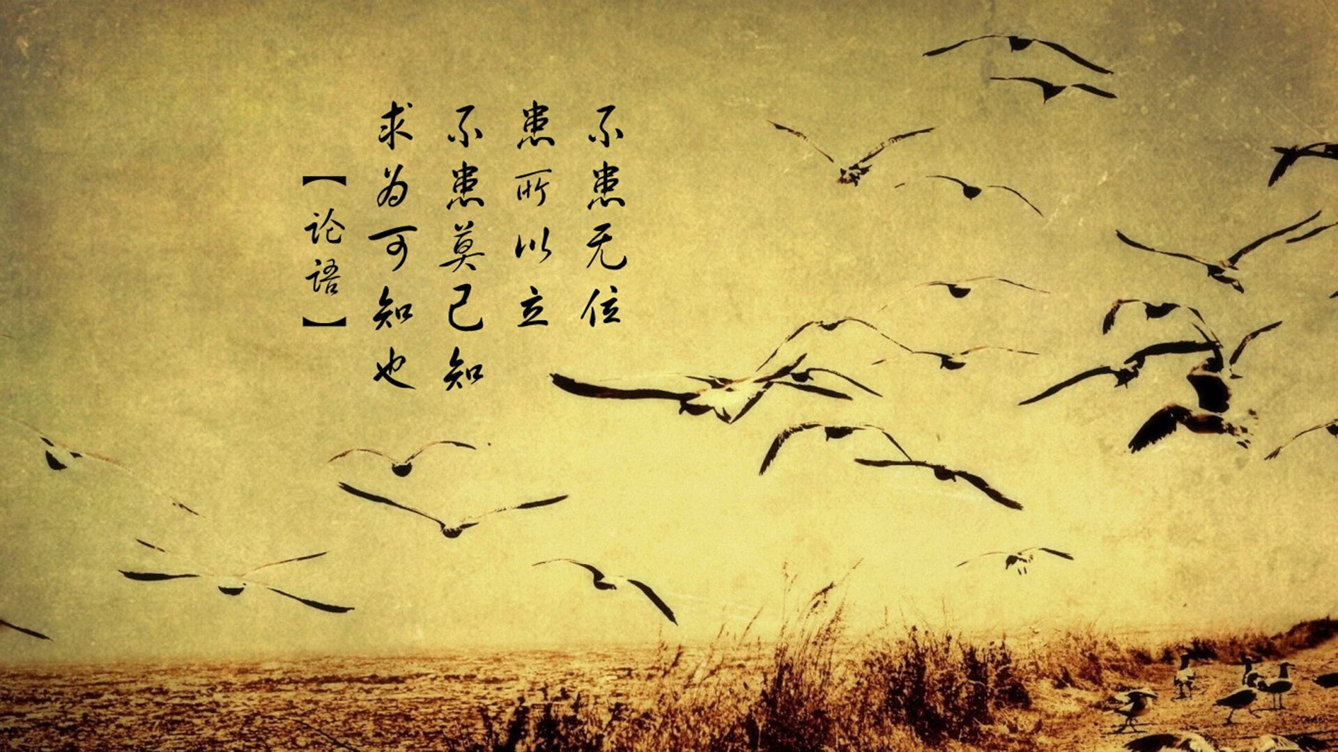 b体育在线平台-节奏主导权是否是比赛胜负的决定因素，比赛节奏的概念