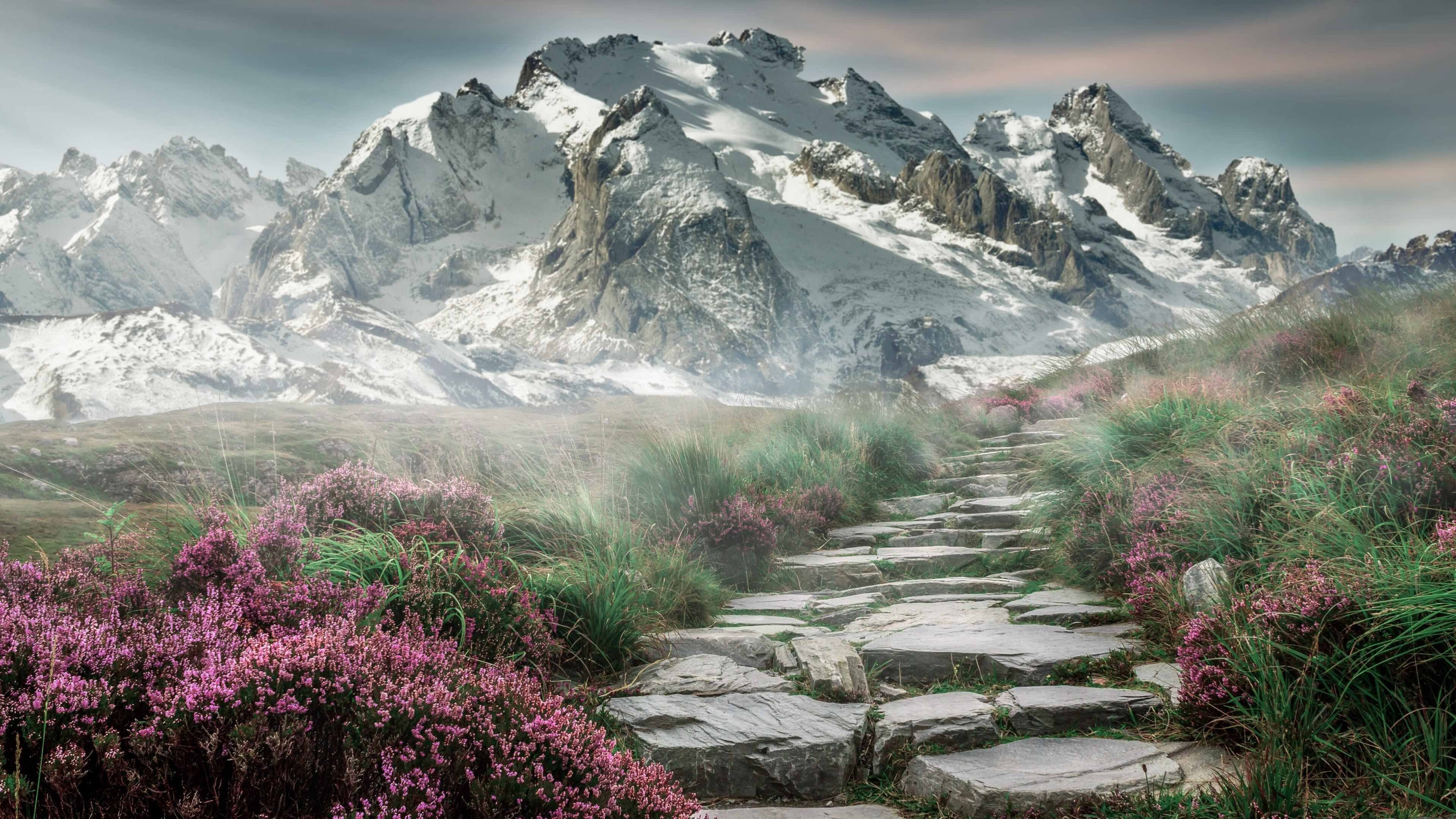 冲浪比赛惊险刺激 海浪中的英雄,冲浪大赛