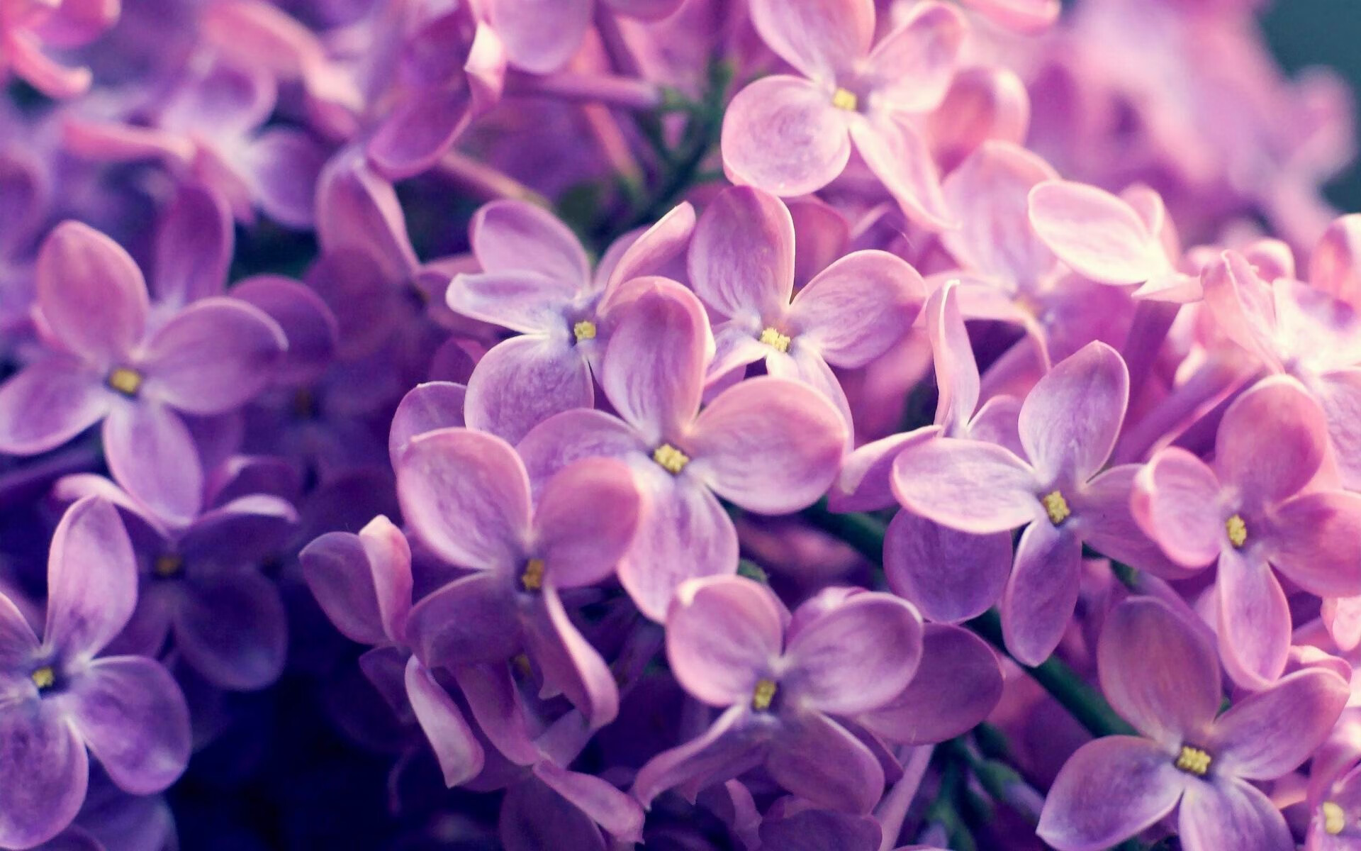 球员罚球仪式创新,引入家庭成员参与环节,罚球时,罚球队员持球不能超过几秒