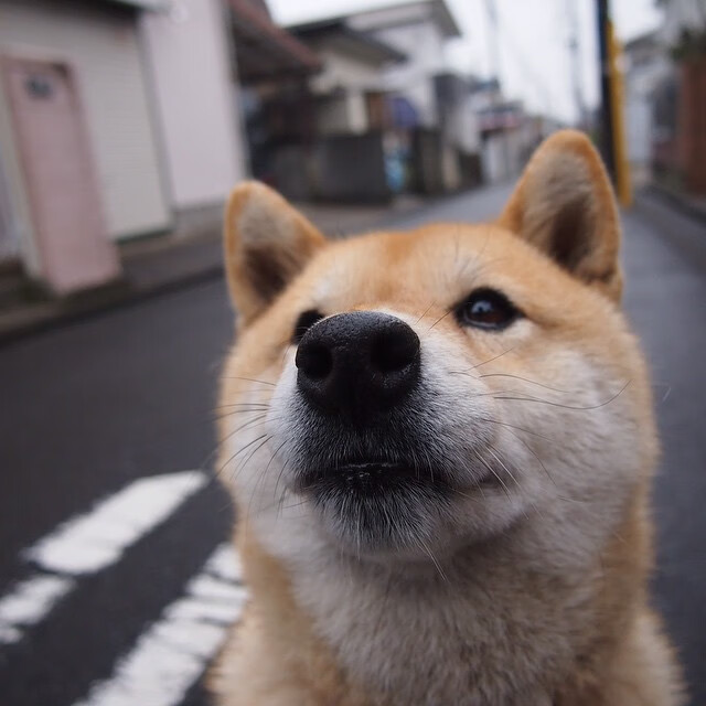 b体育平台-魔术持续提升篮板控制力防守更稳固，魔术师篮球视频